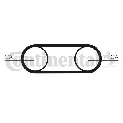 Correia Dentada CONTINENTAL CTAM CT1112