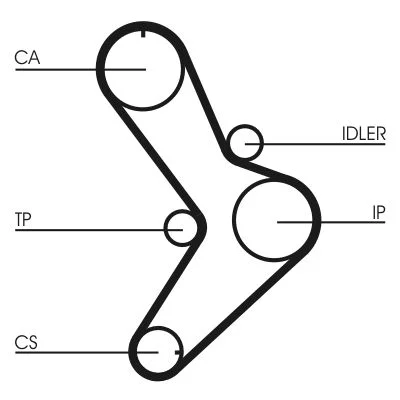 Correia Dentada CONTINENTAL CTAM CT731
