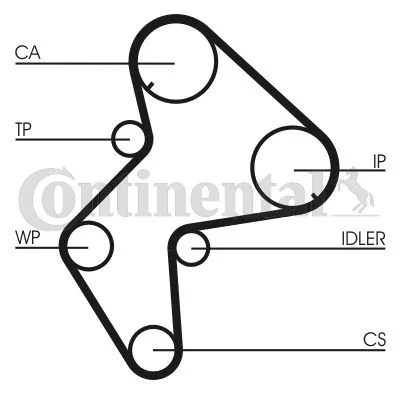 Correia Dentada CONTINENTAL CTAM CT775