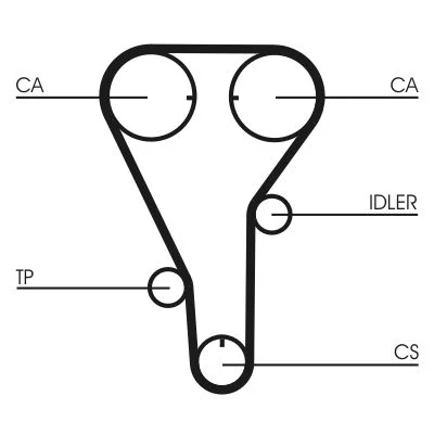 Correia Dentada CONTINENTAL CTAM CT787