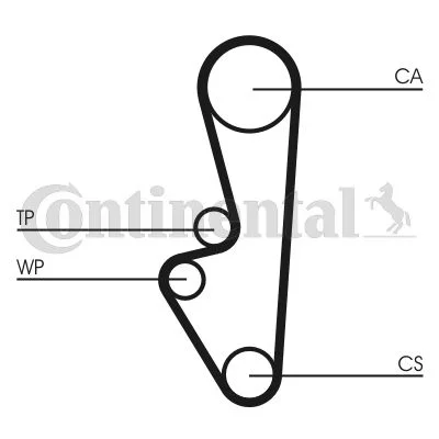 Timing Belt CONTINENTAL CTAM CT798