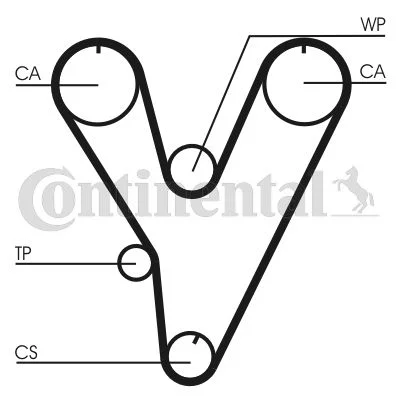 Correia Dentada CONTINENTAL CTAM CT805