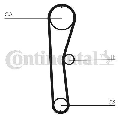 Correia Dentada CONTINENTAL CTAM CT824