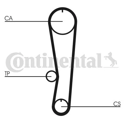 Correia Dentada CONTINENTAL CTAM CT895
