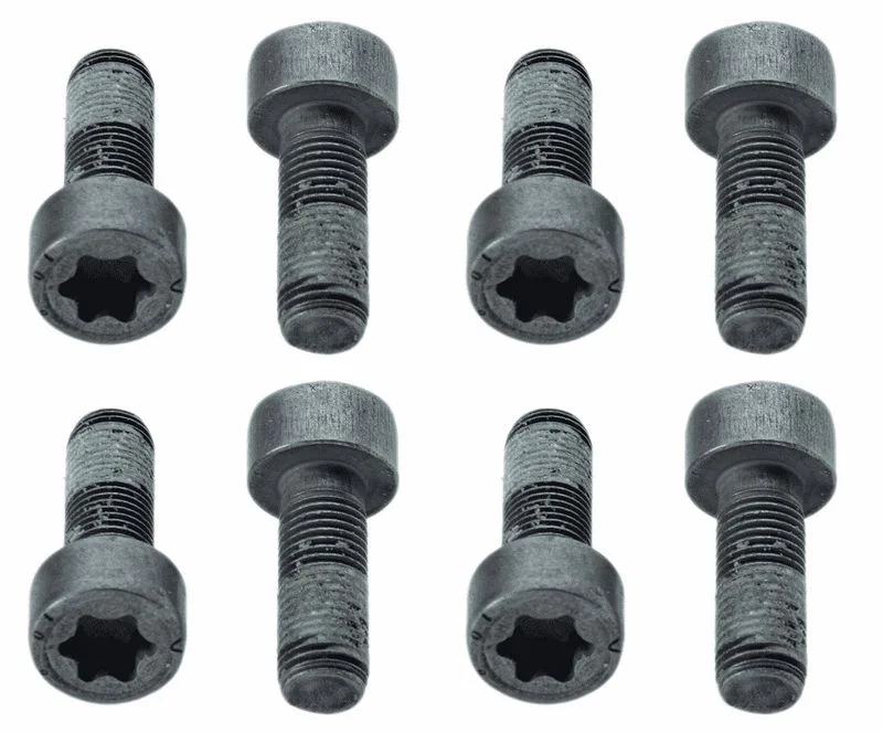 Conjunto de Parafusos, volante do motor SACHS 1874 000 010