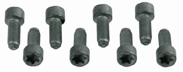 Conjunto de Parafusos, volante do motor SACHS 1874 000 031