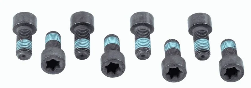 Conjunto de Parafusos, volante do motor SACHS 1874 000 032