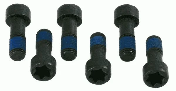 Conjunto de Parafusos, volante do motor SACHS 1874 000 035