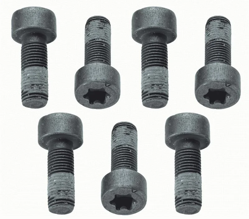 Conjunto de Parafusos, volante do motor SACHS 1874 000 040