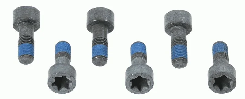 Conjunto de Parafusos, volante do motor SACHS 1874 000 041