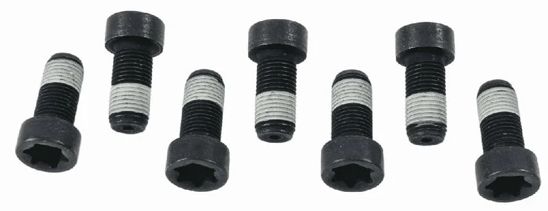 Conjunto de Parafusos, volante do motor SACHS 1874 000 043