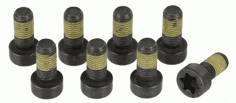 Conjunto de Parafusos, volante do motor SACHS 1874 000 044
