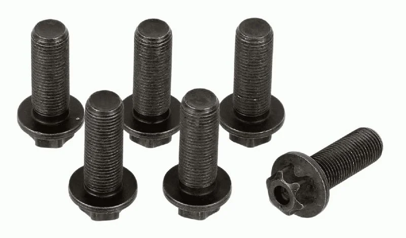 Conjunto de Parafusos, volante do motor SACHS 1874 000 045