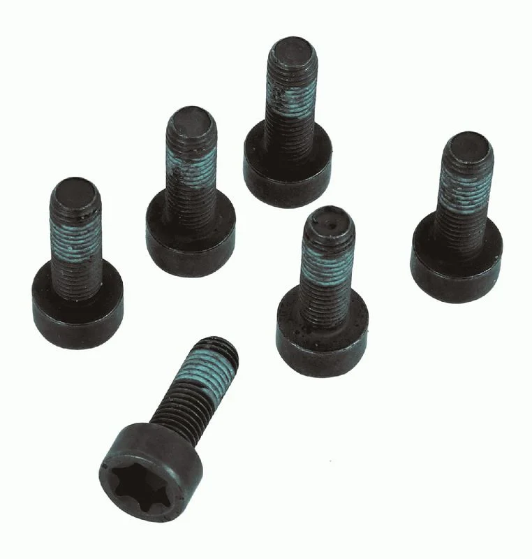 Conjunto de Parafusos, volante do motor SACHS 1874 000 047