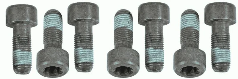 Conjunto de Parafusos, volante do motor SACHS 1874 000 054