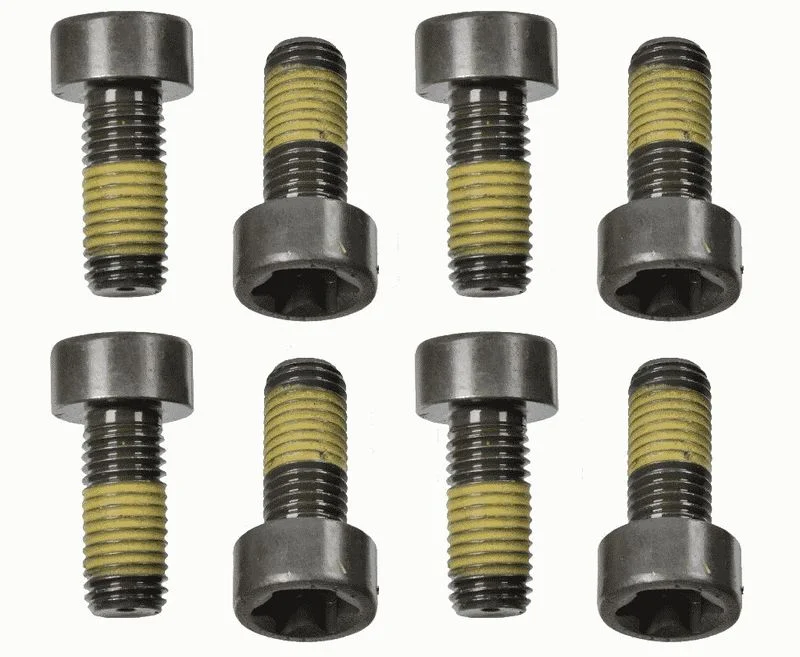 Conjunto de Parafusos, volante do motor SACHS 1874 000 058