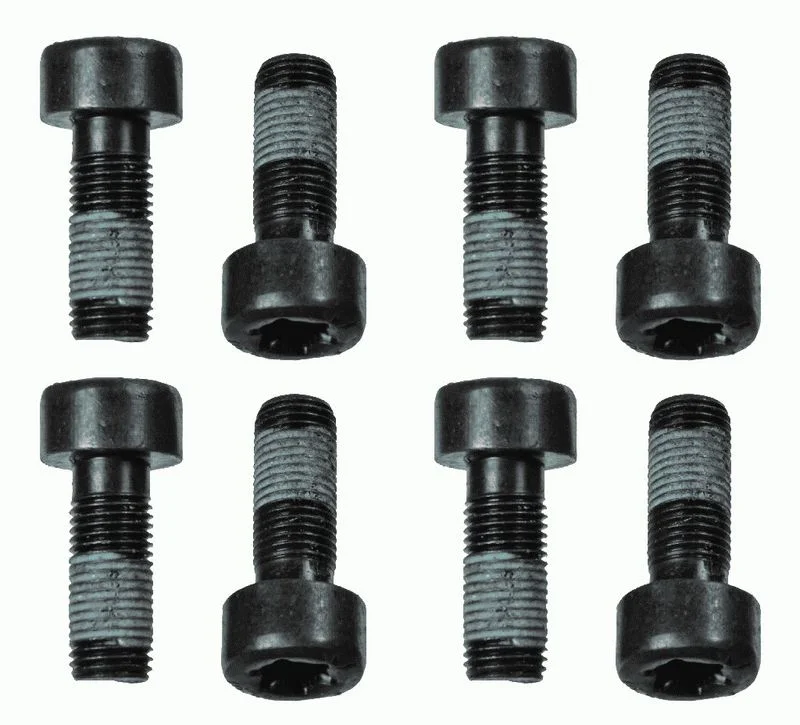 Conjunto de Parafusos, volante do motor SACHS 1874 000 060