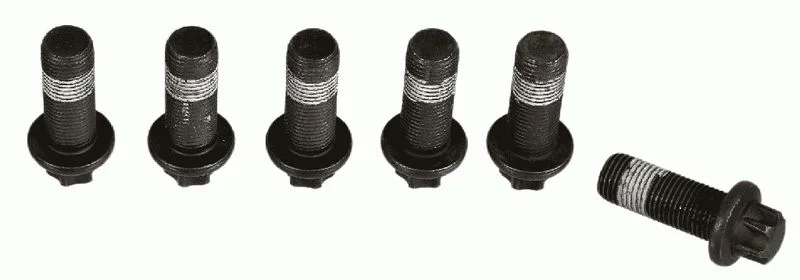 Conjunto de Parafusos, volante do motor SACHS 1874 000 067
