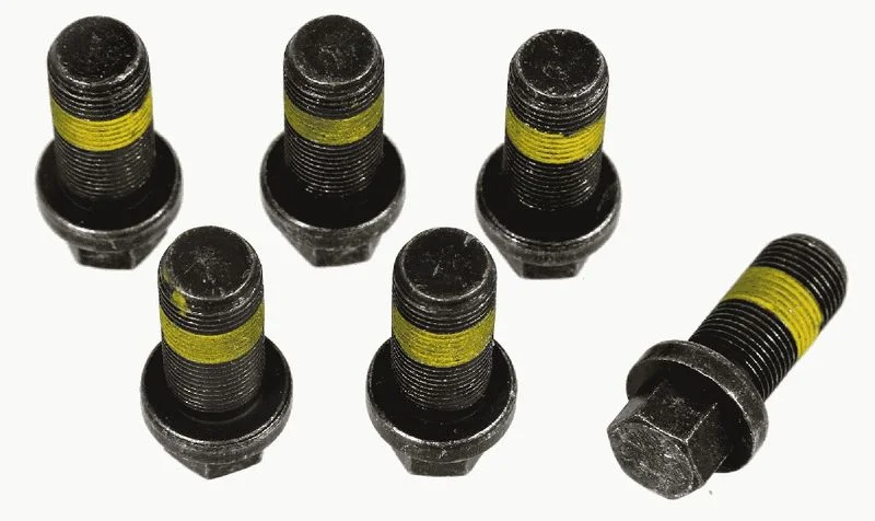 Conjunto de Parafusos, volante do motor SACHS 1874 000 069