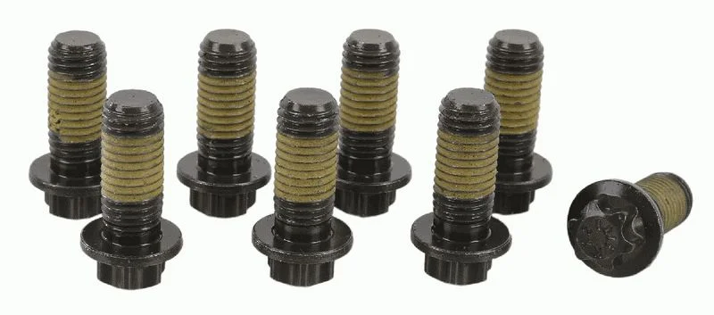 Conjunto de Parafusos, volante do motor SACHS 1874 000 072