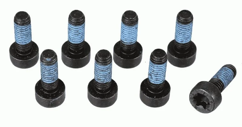Conjunto de Parafusos, volante do motor SACHS 1874 000 073