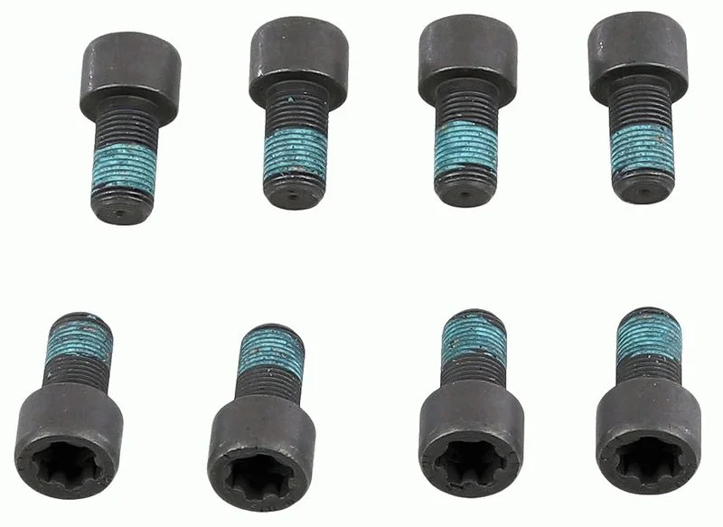 Conjunto de Parafusos, volante do motor SACHS 1874 000 078