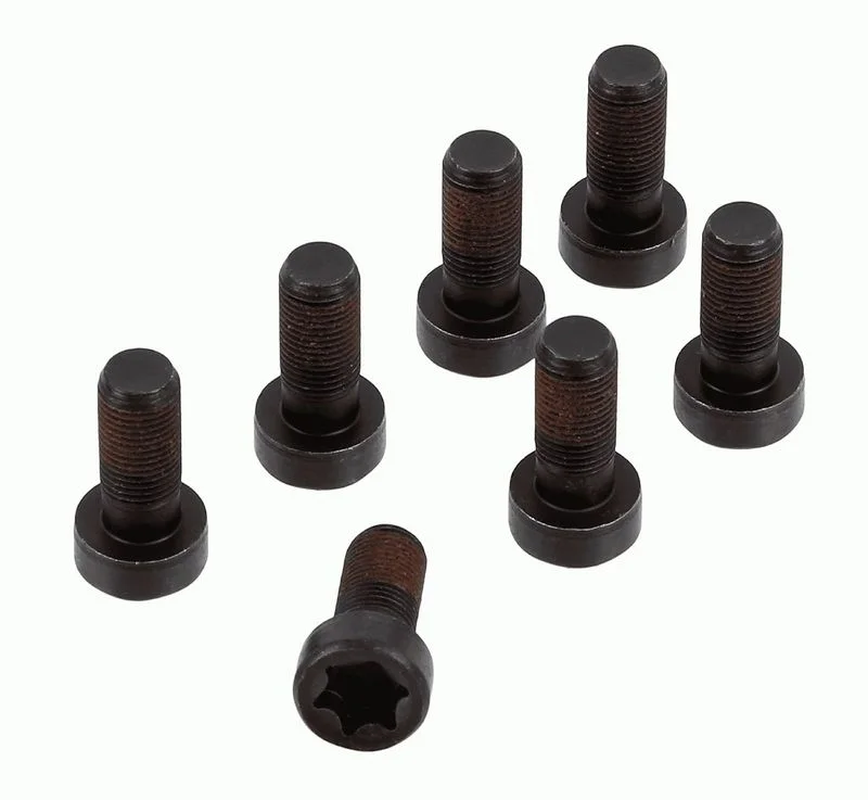 Conjunto de Parafusos, volante do motor SACHS 1874 000 083