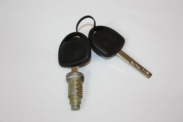 Cilindro de fechadura AUTOMEGA 100080710