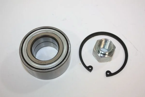 Kit de rolamentos de roda AUTOMEGA 110124410