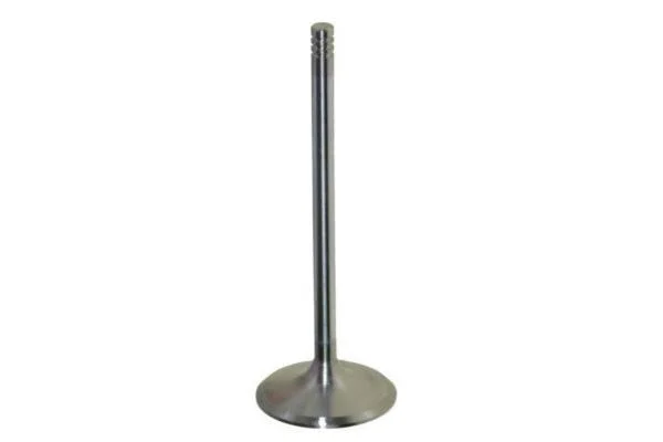 Intake Valve AUTOMEGA 130107210