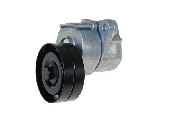 Tensioner Lever, V-ribbed belt AUTOMEGA 160101110