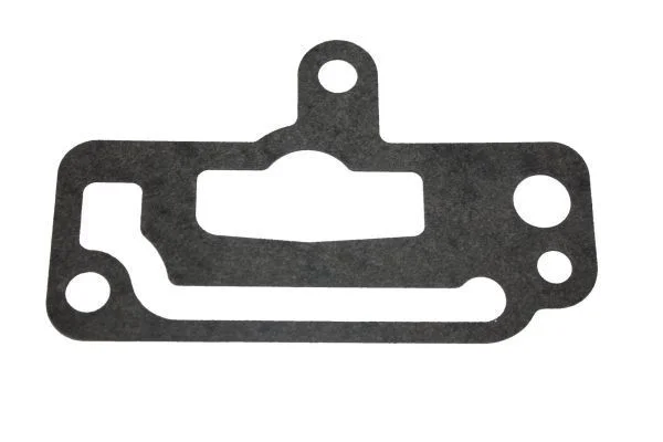 Gasket, coolant flange AUTOMEGA 190054510