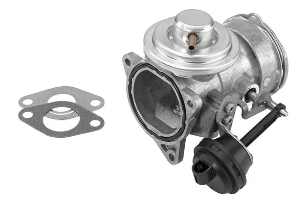 ERG vožtuvas BorgWarner 7327D