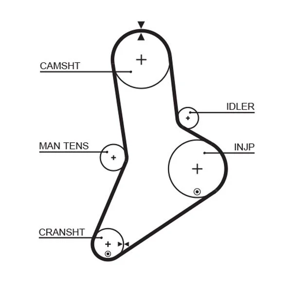 Timing Belt GATES 5038