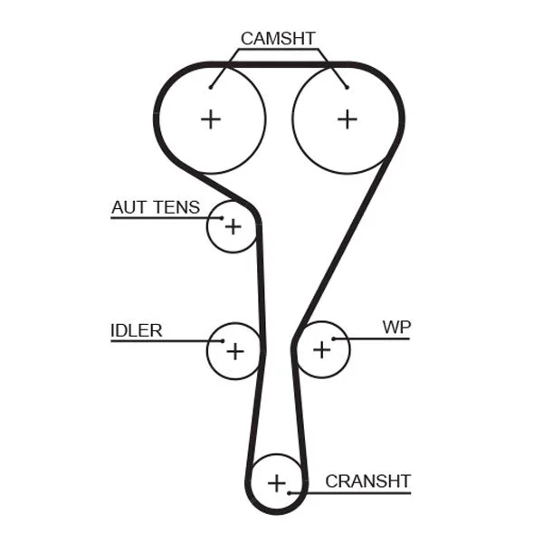 Timing Belt GATES 5550XS
