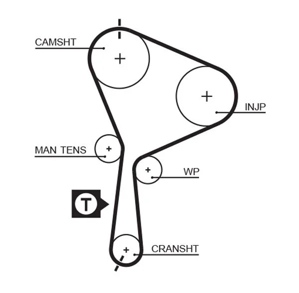 Timing Belt GATES 5552XS