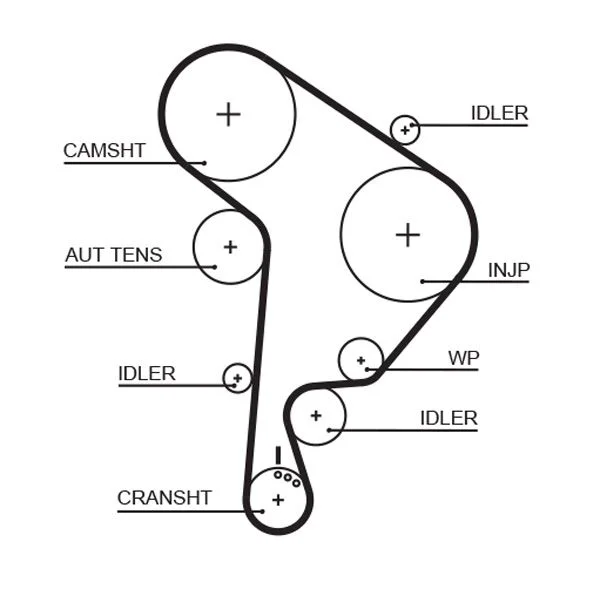 Timing Belt GATES 5559XS