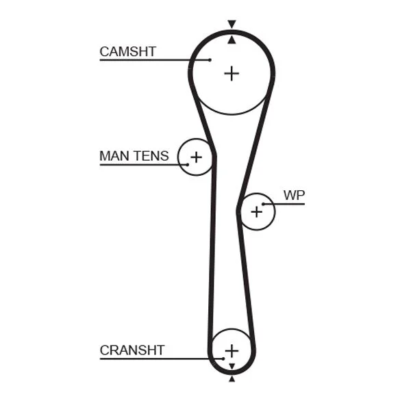 Timing Belt GATES 5577XS
