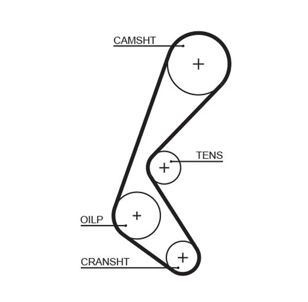 Correia Dentada GATES 5628XS