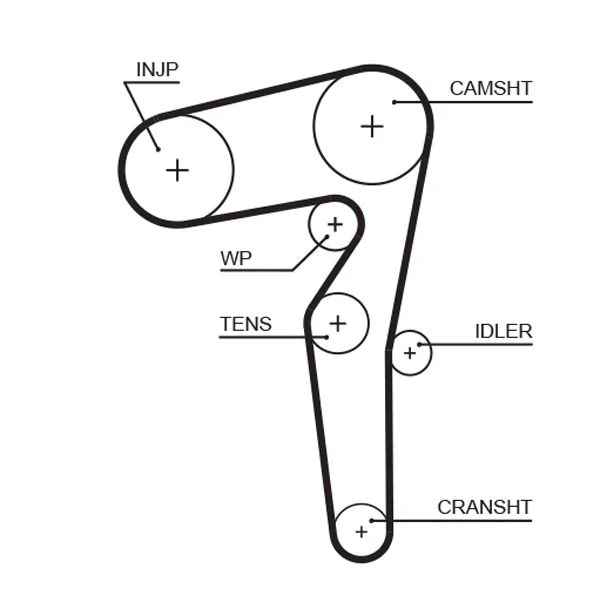 Timing Belt GATES 5646XS