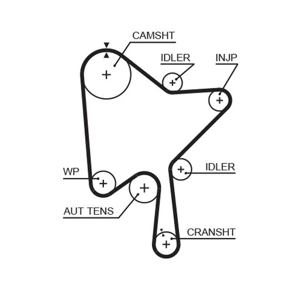 Timing Belt GATES 5686XS