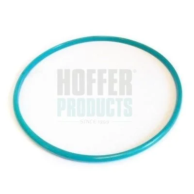Seal, fuel tank cap hoffer GSK01