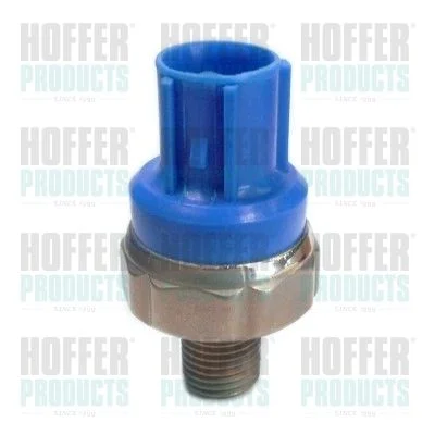 Sensor de Detonação HOFFER 7517982