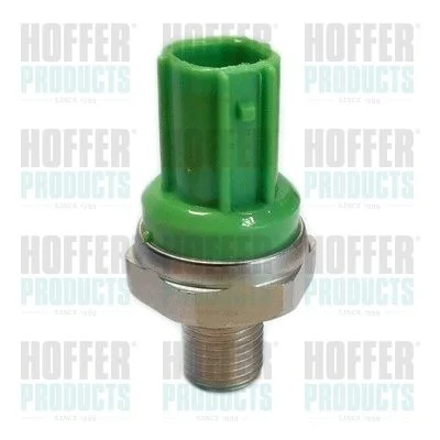 Sensor de Detonação HOFFER 7517983