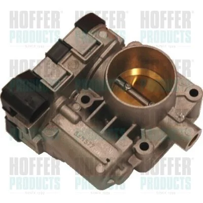 Corpo do acelerador HOFFER 7519059