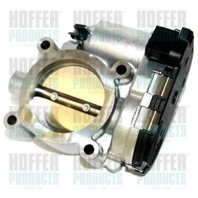 Corpo do acelerador HOFFER 7519159