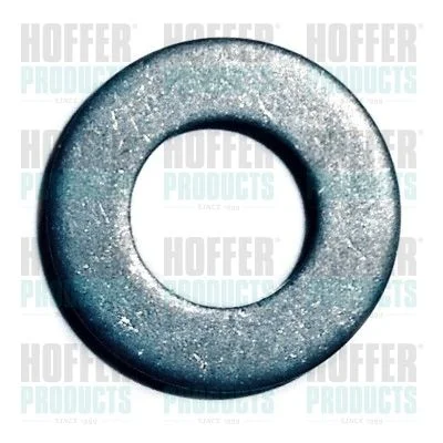 Anel de Vedação, suporte do bico HOFFER 8029708