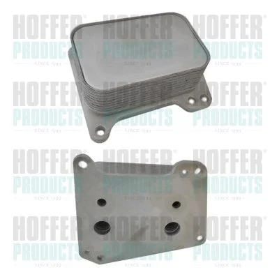 Arrefecedor de óleo, óleo do motor HOFFER 8095196
