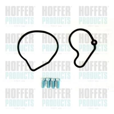 Conjunto de Reparo, bomba de vácuo (sistema de frenagem) HOFFER 91114