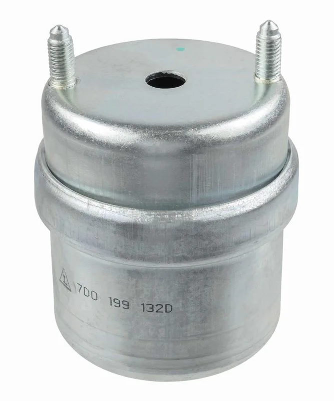 Variklio montavimas LEMFÖRDER 25369 01